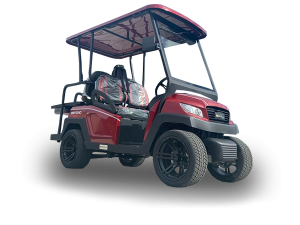 golf cart repair service, key biscayne cart repair pickup, golf cart inspection